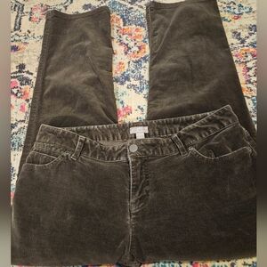 J. Jill Dark Green/Brown Corduroy Straight Leg Pants